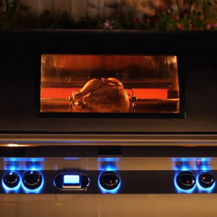 Fire Magic Echelon Diamond E1060i 48-Inch Built-In Gas Grill with Rotisserie, Digital Thermometer & Magic View Window - Natural Gas - E1060i-9E1N-W