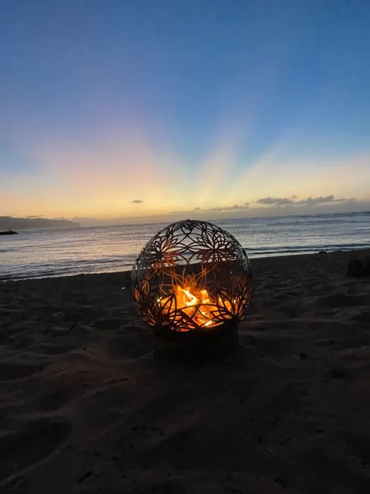 Flowerhouse 50-Inch Bonfireball Fire Pit - Lotus in Stainless Steel - 50BFBL-SS